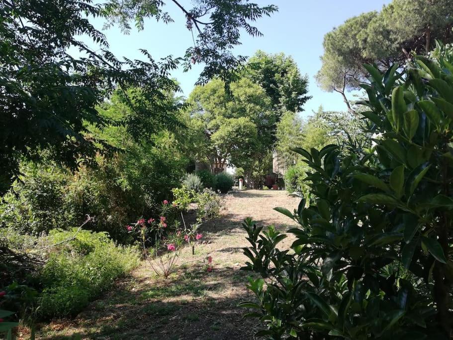 Appartamento Roma, ภายนอก รูปภาพ